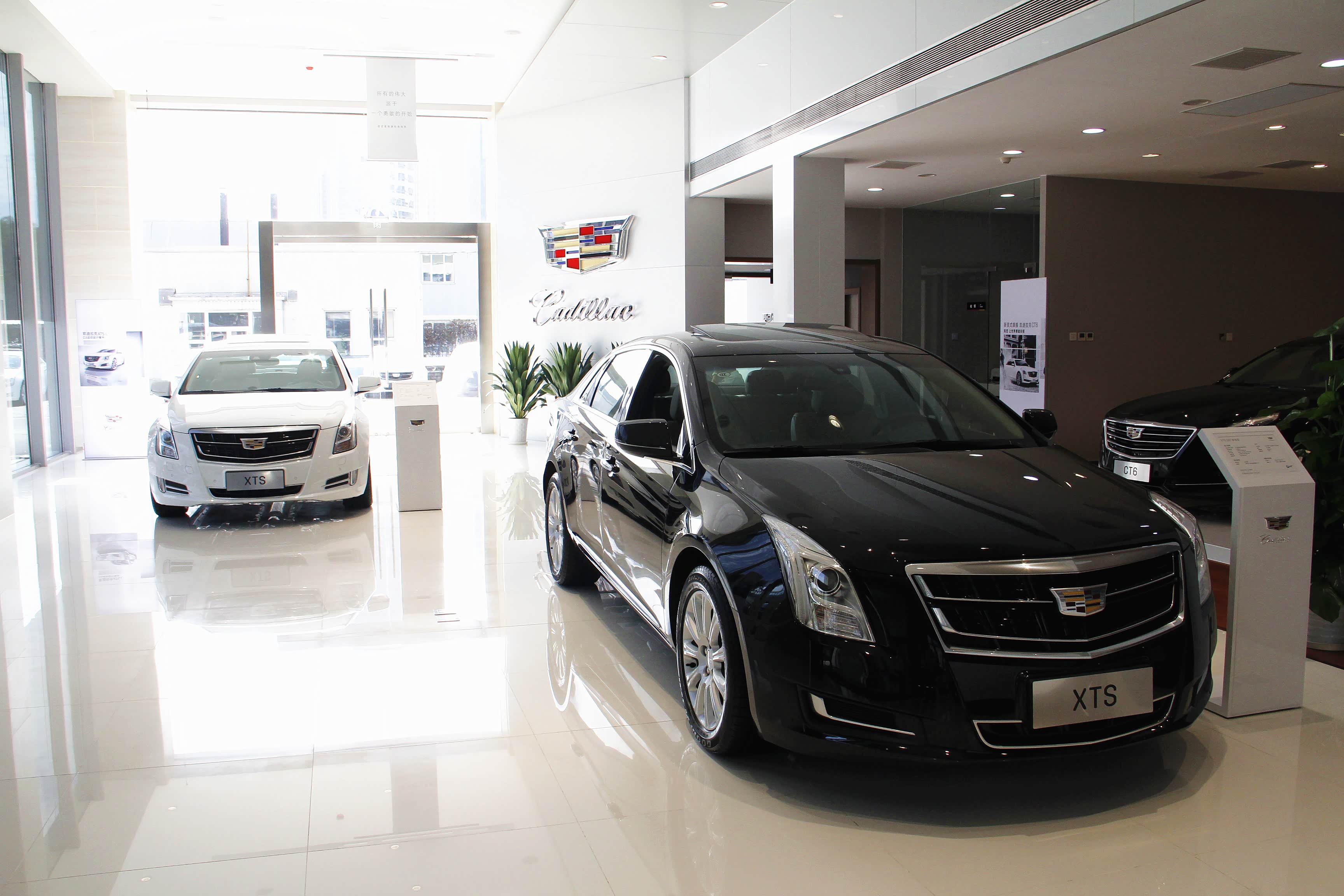 北京勤和凯迪拉克