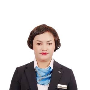 米尔妮萨