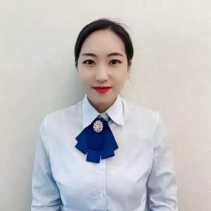 金牌销售何娜娜