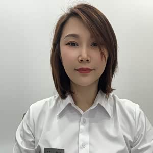 宋丹